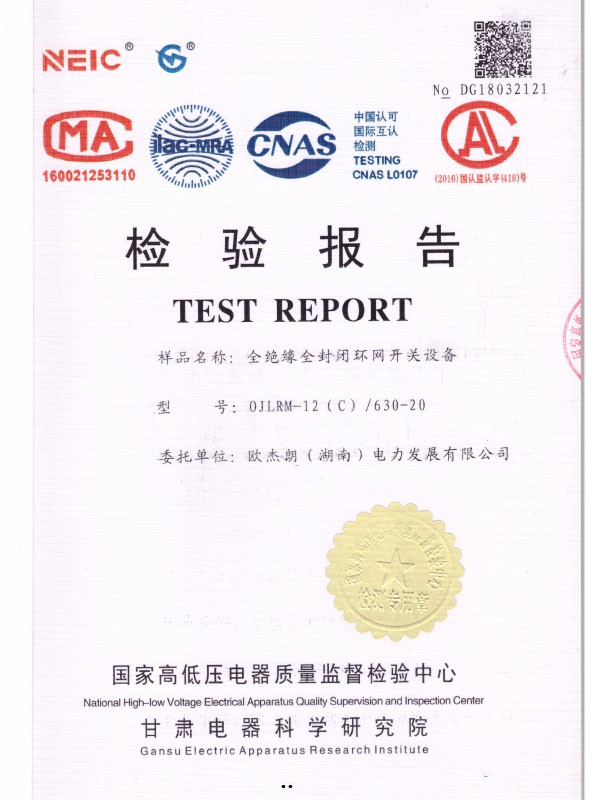 0JLRM-12（C）/630-20檢驗報告-1