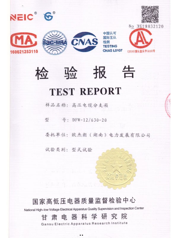 DFW-12/630-20檢驗報告-1