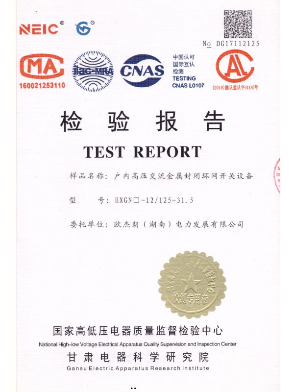 HXGN□-12/125-31.5檢驗報告-1