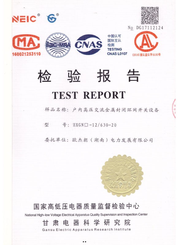 HXGN□-12/630-20檢驗報告-1