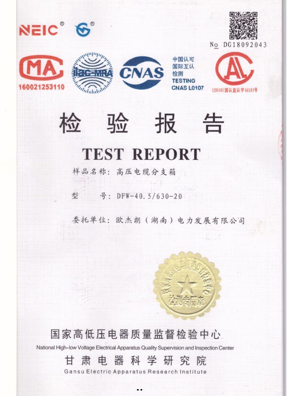 DFW-40.5/630-20檢驗報告-1