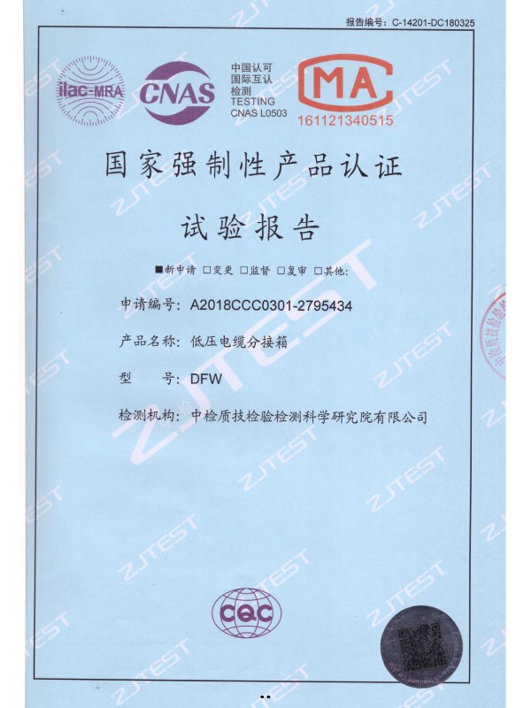 DFW國家強制性產(chǎn)品認證試驗報告